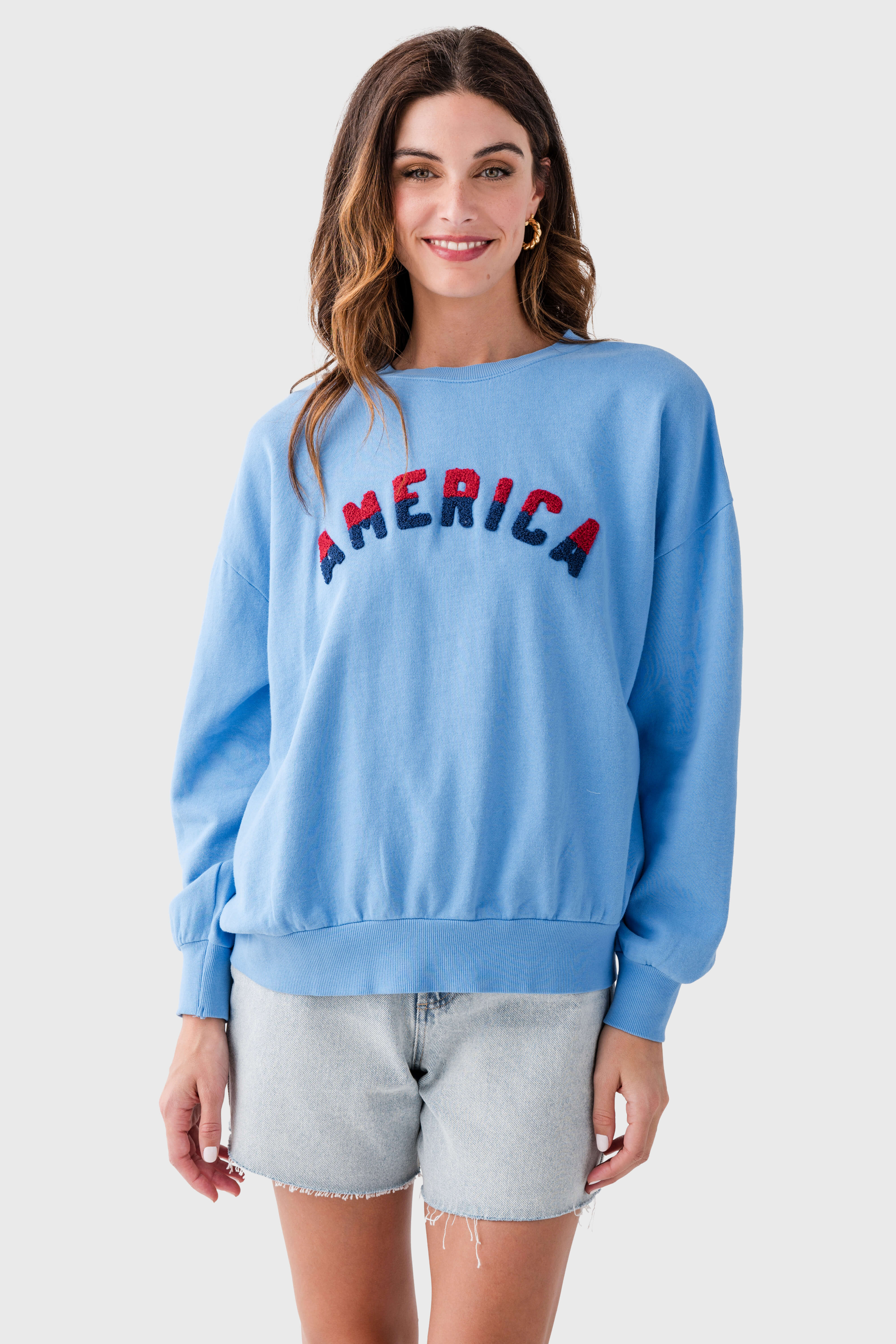 Z Supply America Sunday Sweatshirt