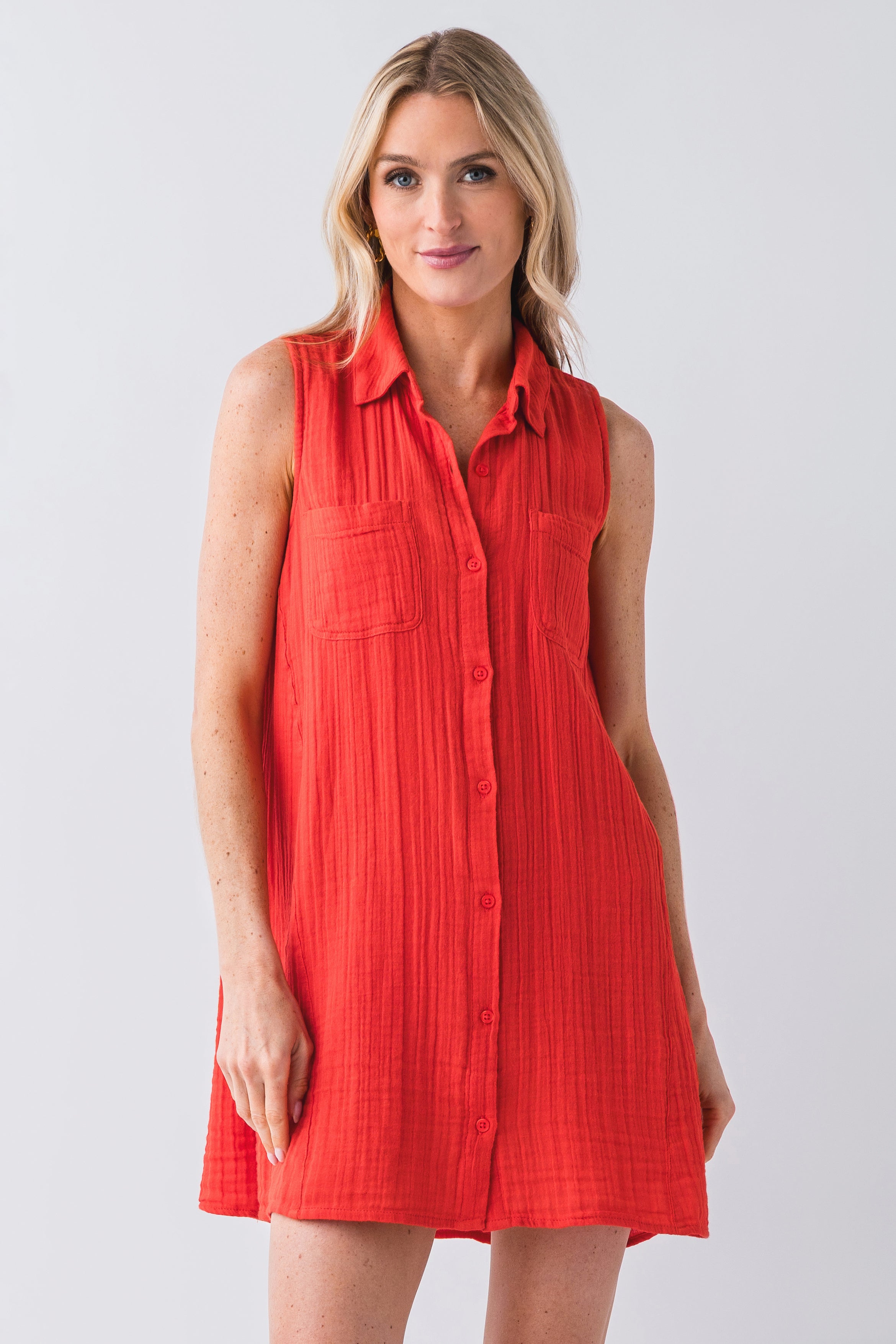 Z Supply New Light Mini Dress