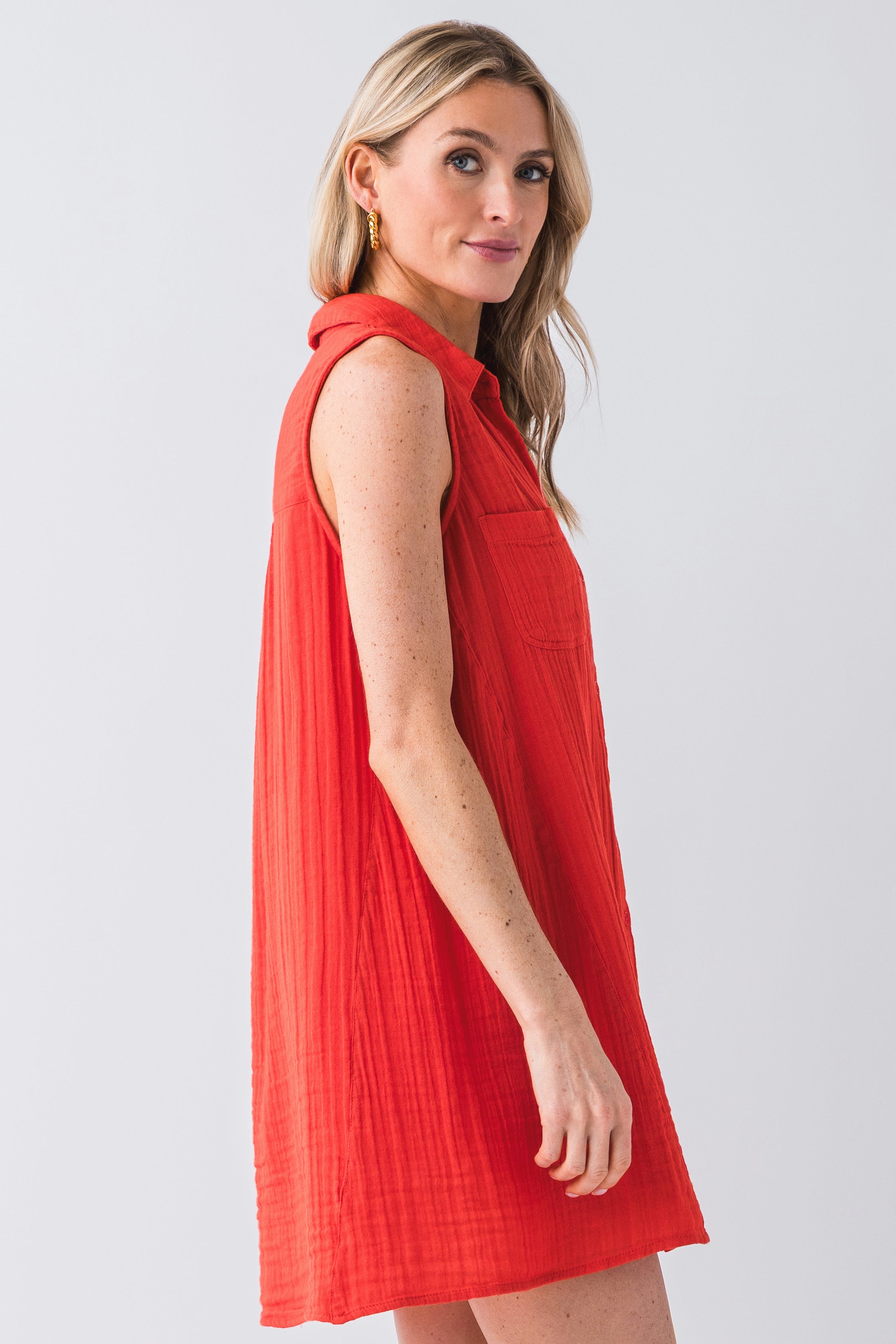 Z Supply New Light Mini Dress