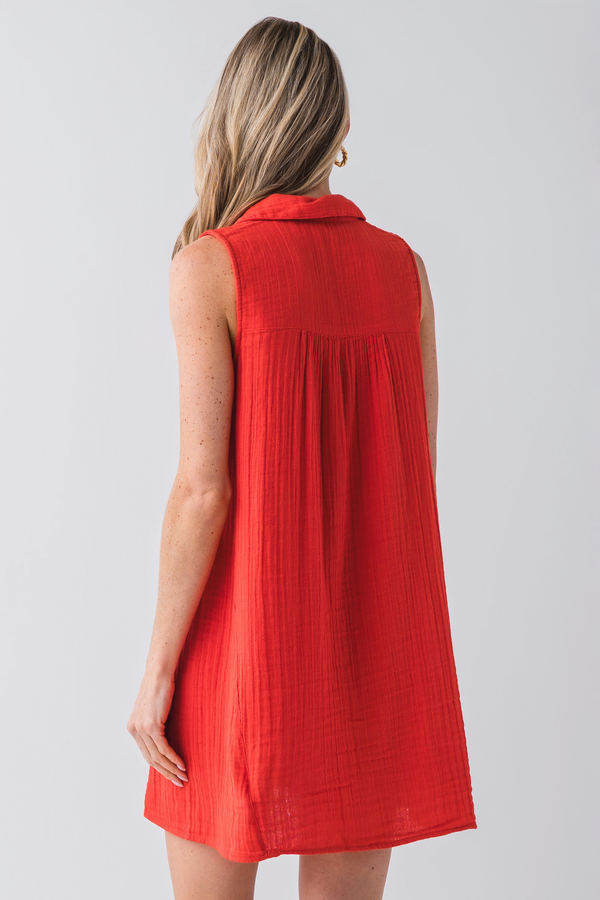 Z Supply New Light Mini Dress